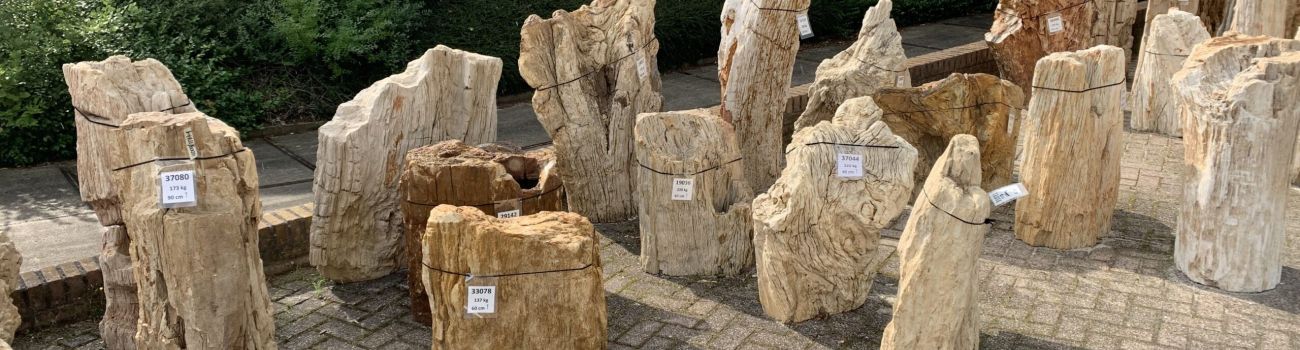 memorial stones petrified wood