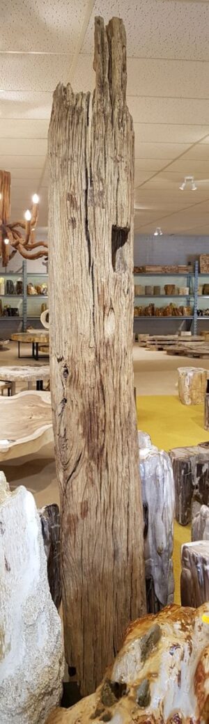 Madera flotante 12780