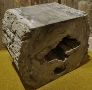 Tavoli laterali legno pietrificato 13260
