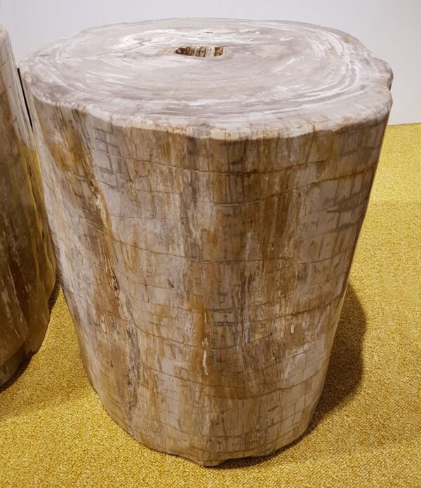 Tavoli laterali legno pietrificato 24001