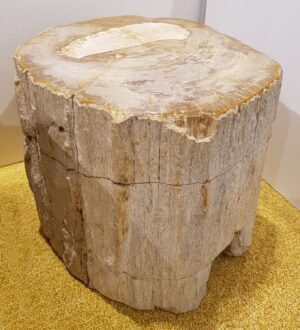 Tavoli laterali legno pietrificato 24065