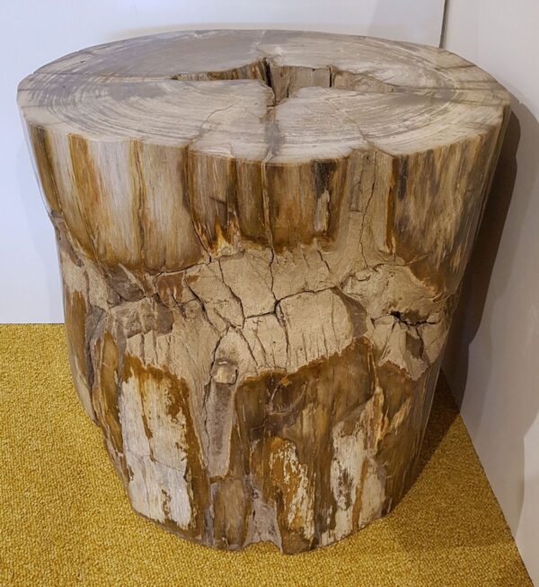 Side table petrified wood 25006