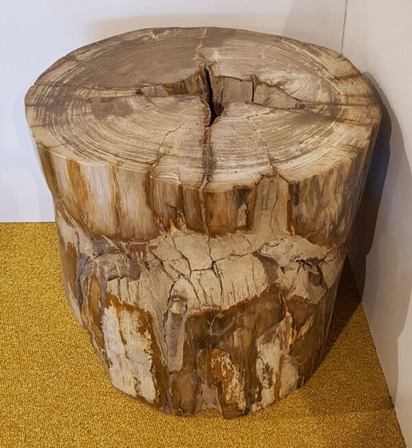 Side table petrified wood 25006