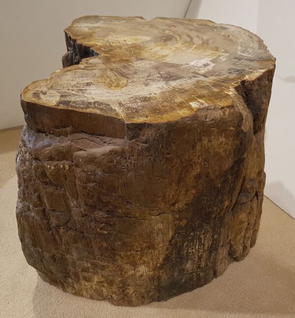 Tavoli laterali legno pietrificato 25027