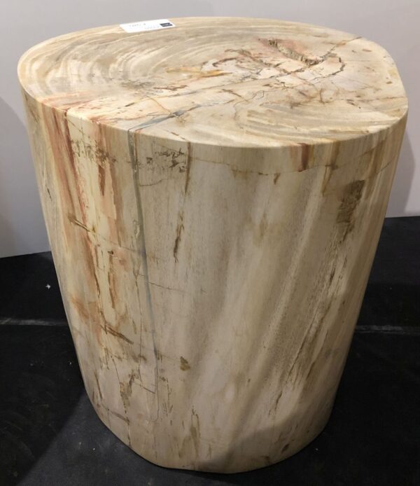 Side table petrified wood 29000