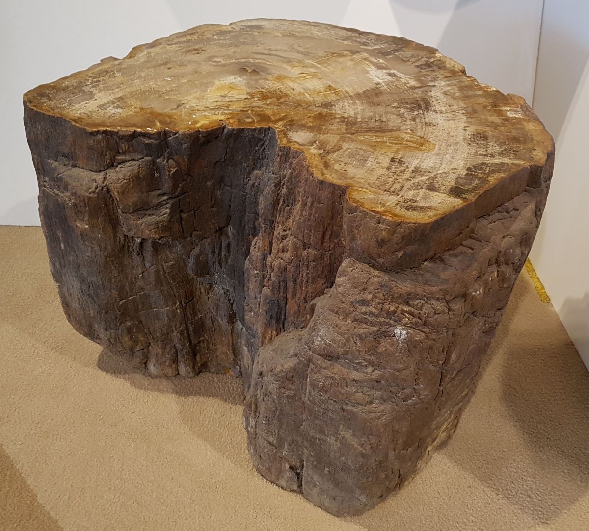 Bijzettafel versteend hout 25027 kunst uit de natuur Xyleia Natural