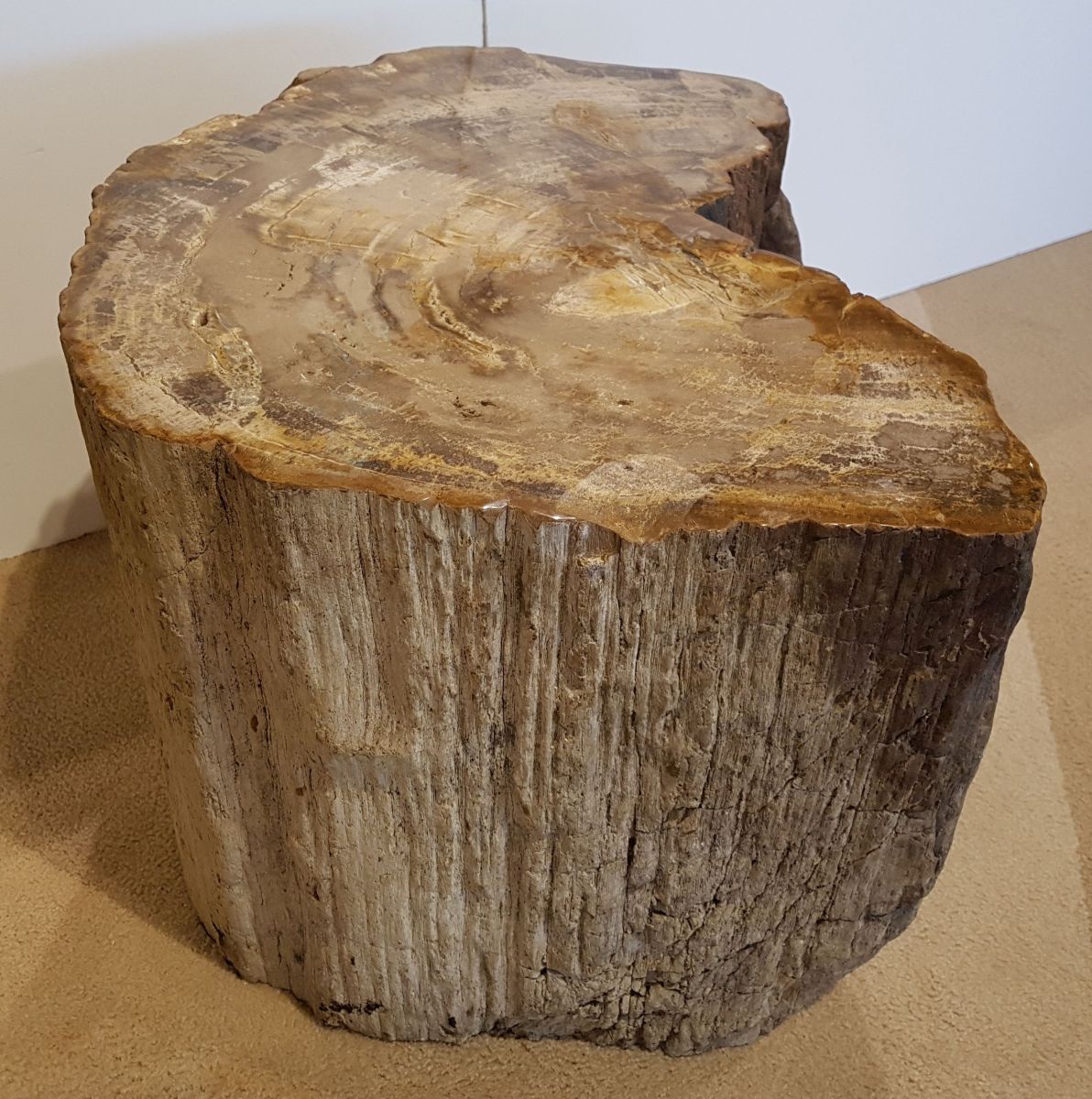 Bijzettafel versteend hout 25027 kunst uit de natuur Xyleia Natural