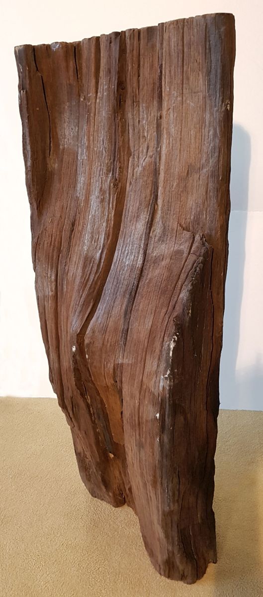 Driftwood 11537