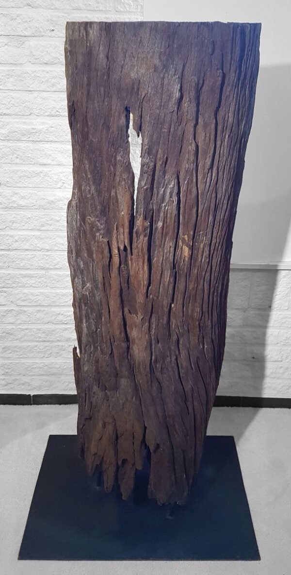 Driftwood 11543