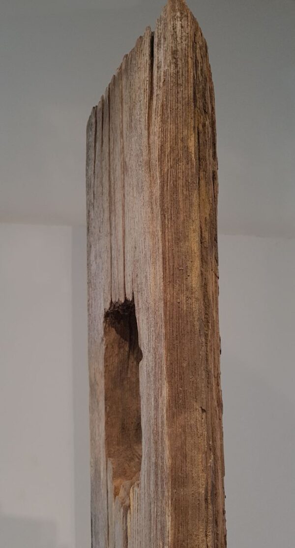 Driftwood 11628