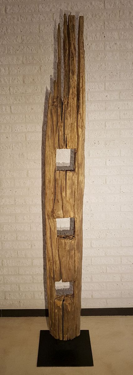 Driftwood 11629