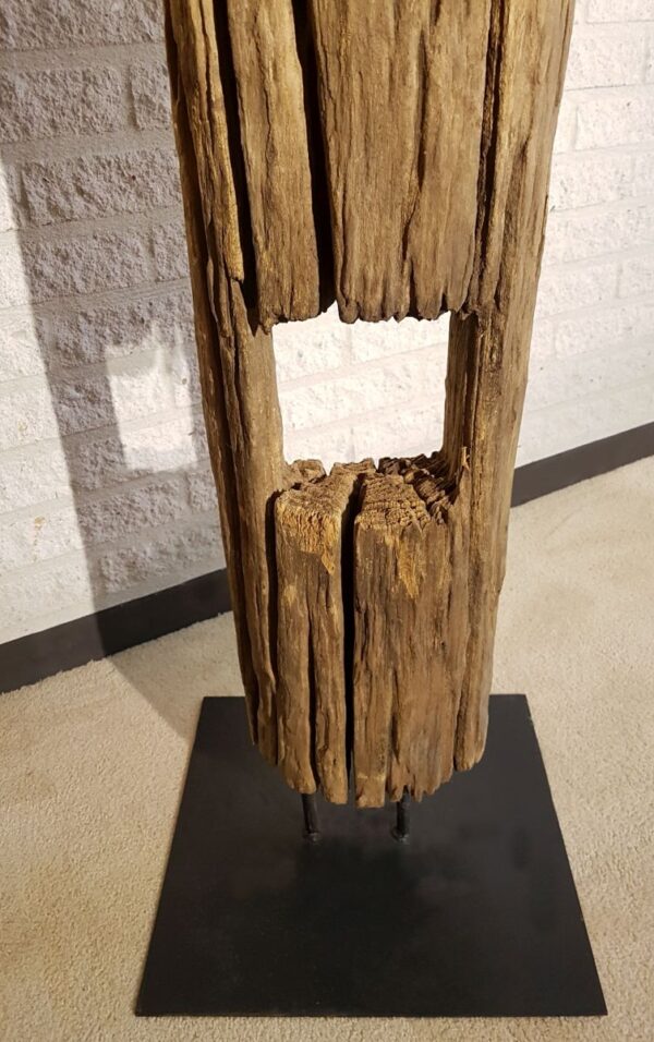 Driftwood 11629