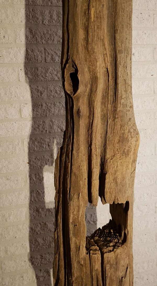 Driftwood 11630