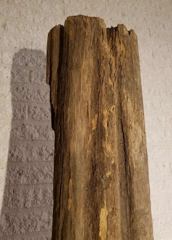 Driftwood 11630