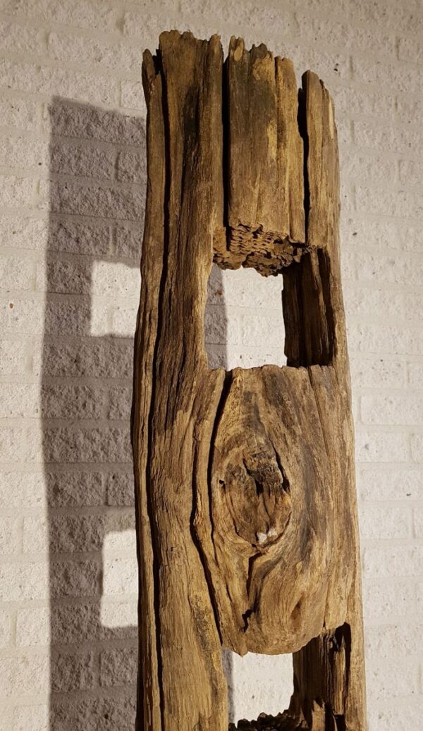 Driftwood 11632