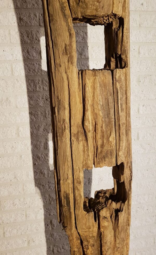 Driftwood 11632
