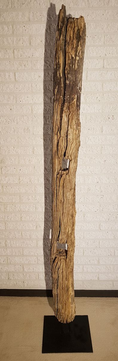 Driftwood 11635