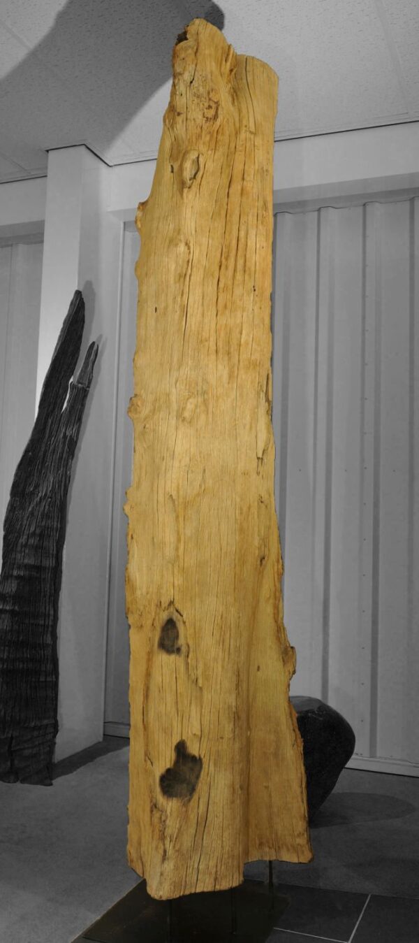 Driftwood 12770