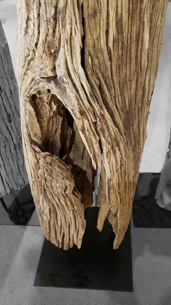 Driftwood 12779