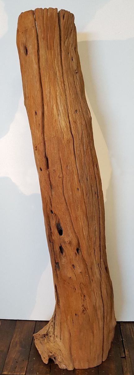 Driftwood 80065