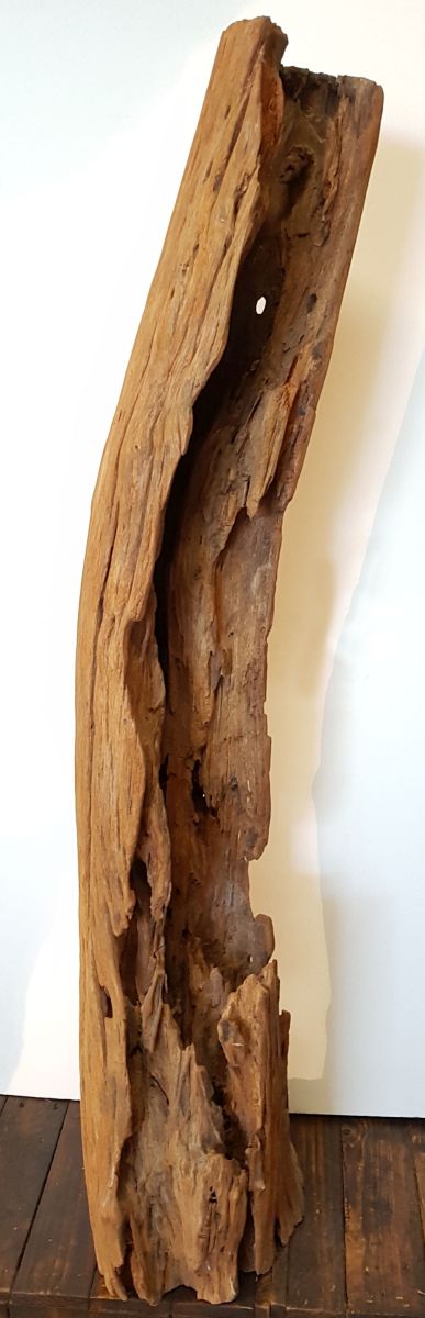 Driftwood 80065