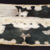 Coffee table petrified wood 32281