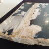 Coffee table petrified wood 32281