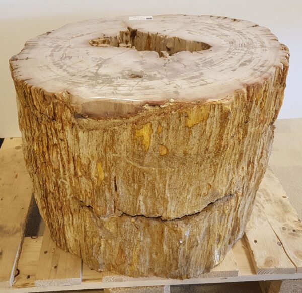 Beistelltisch versteinertes Holz 26016
