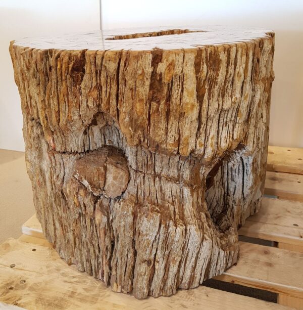 Beistelltisch versteinertes Holz 26016