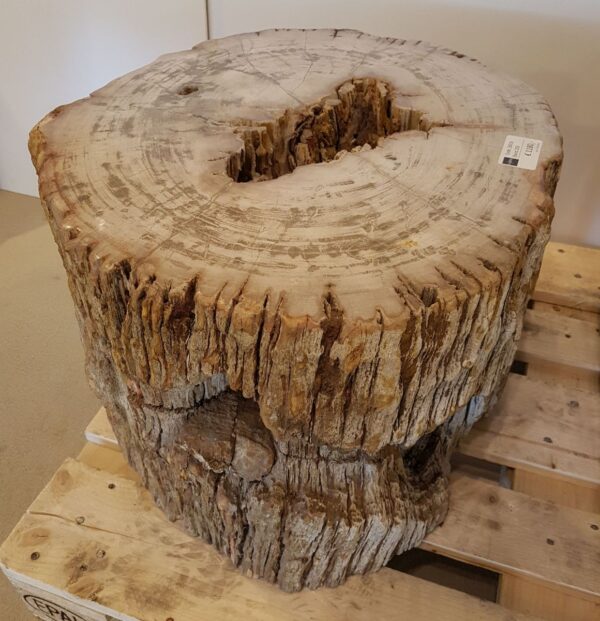 Beistelltisch versteinertes Holz 26016