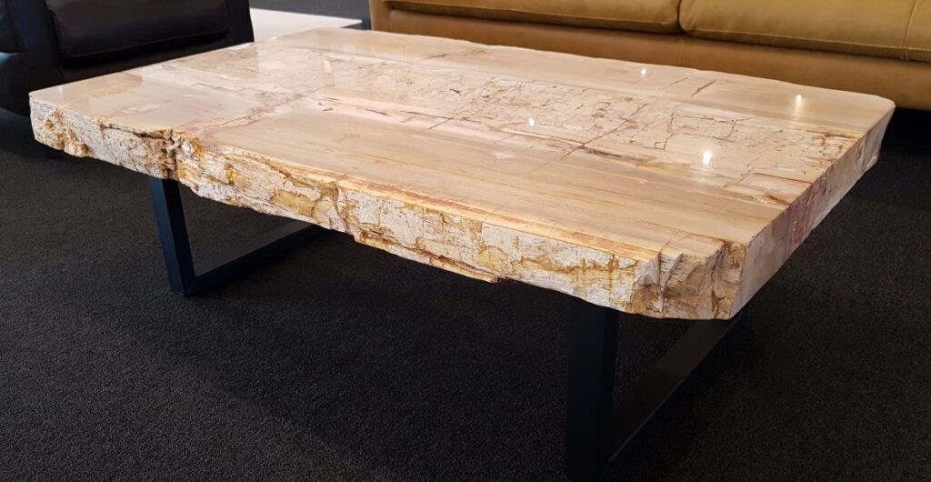 Salontafel versteend hout 26185 kunst uit de natuur Xyleia Natural