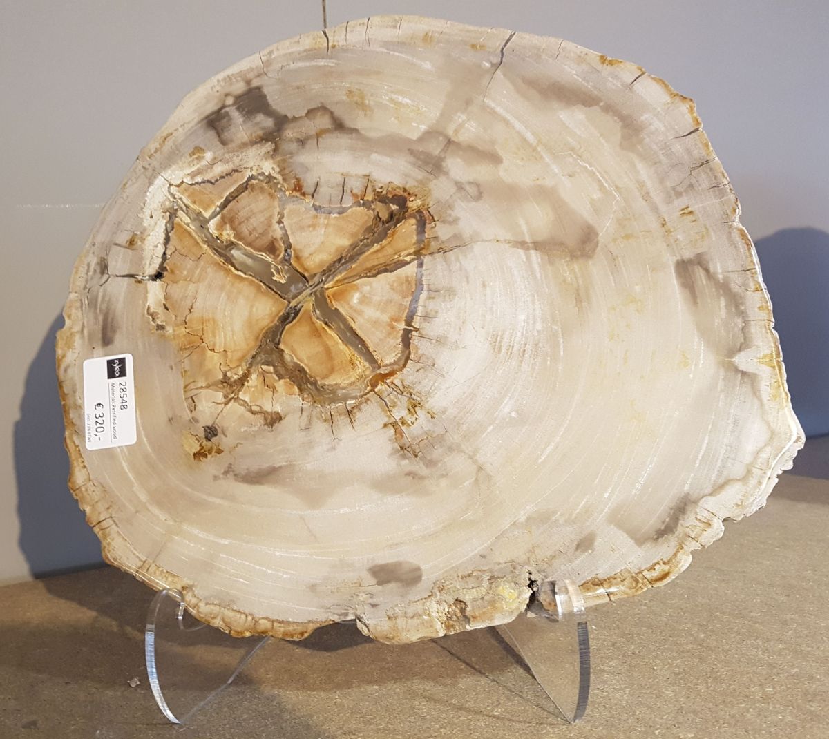 Salontafel versteend hout 28548 kunt uit de natuur Xyleia Natural