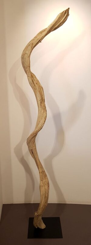 Driftwood 24588A