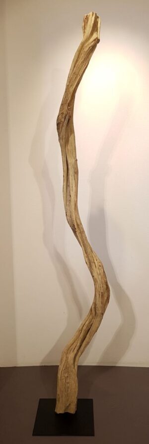 Driftwood 24588G