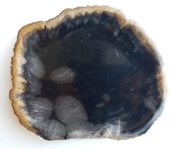 Plato madera petrificada 33018e