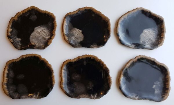 Plato madera petrificada 33018e