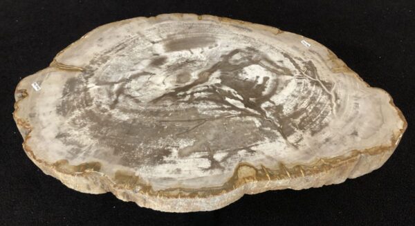 Salontafel versteend hout 33147