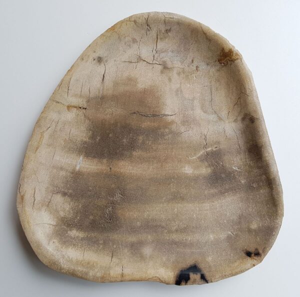 Teller versteinertes Holz 33004f