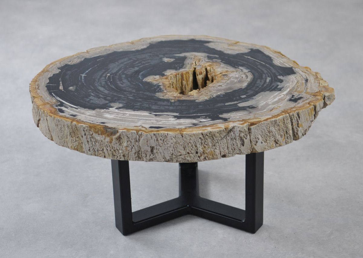 Coffee table petrified wood 35158