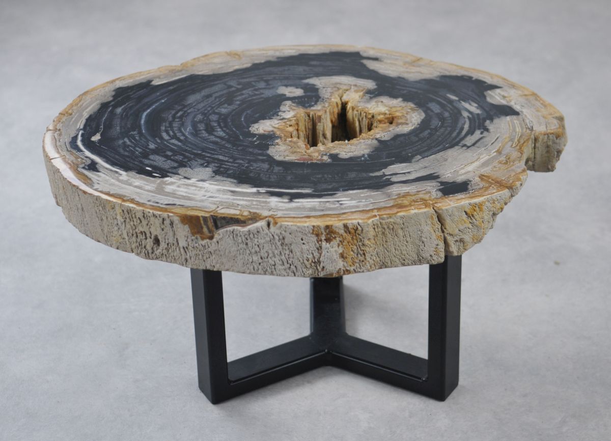 Coffee table petrified wood 35159