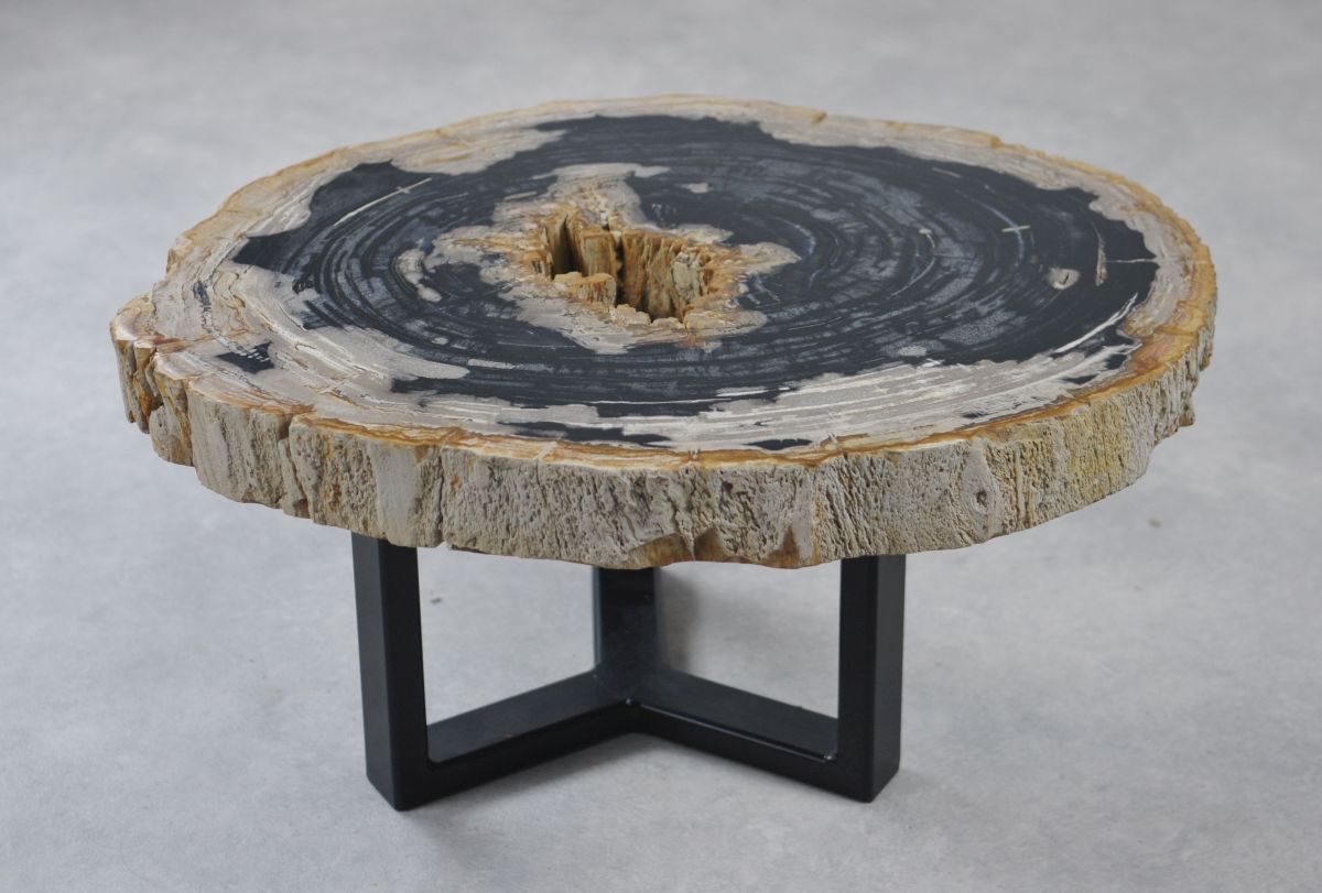 Coffee table petrified wood 35161