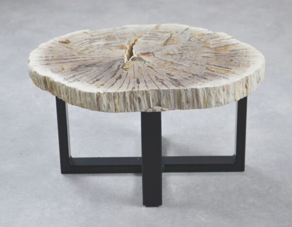 Coffee table petrified wood 35189