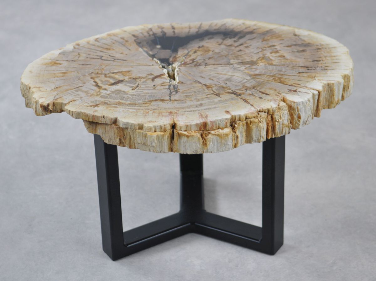 Coffee table petrified wood 35191
