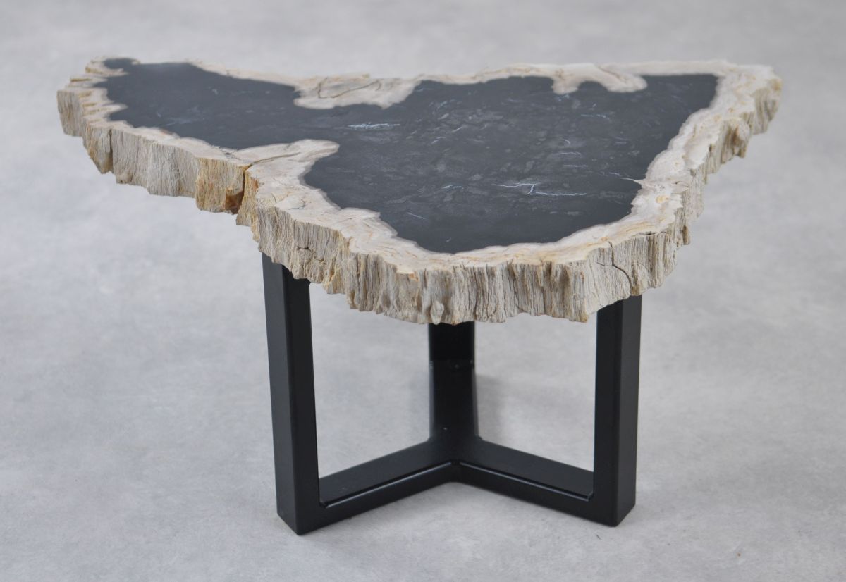 Coffee table petrified wood 35217