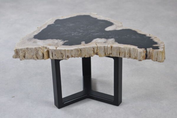 Coffee table petrified wood 35218