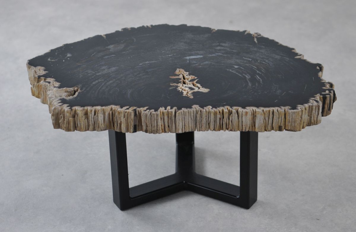 Coffee table petrified wood 35229