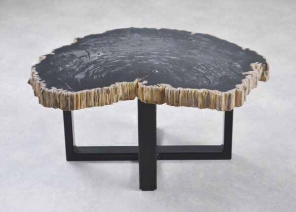 Coffee table petrified wood 35243
