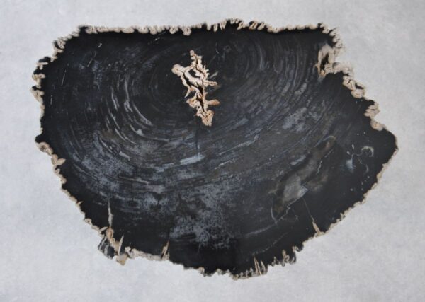 Mesa de centro madera petrificada 35229