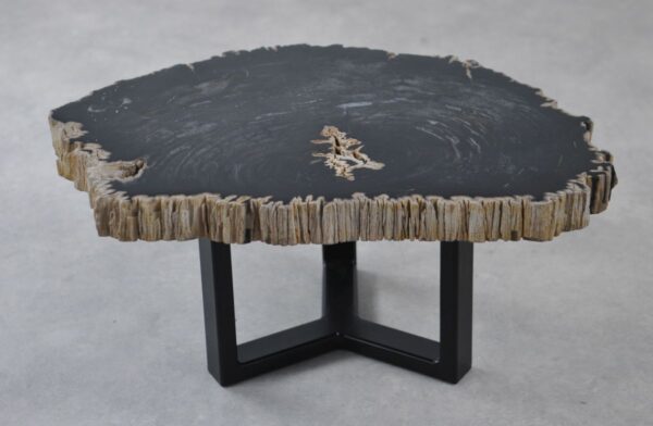 Table basse bois pétrifié 35229