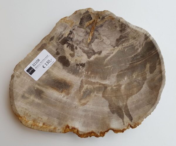 Plate petrified wood 32108a